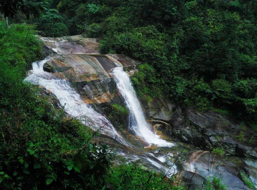 虫虫助手下载